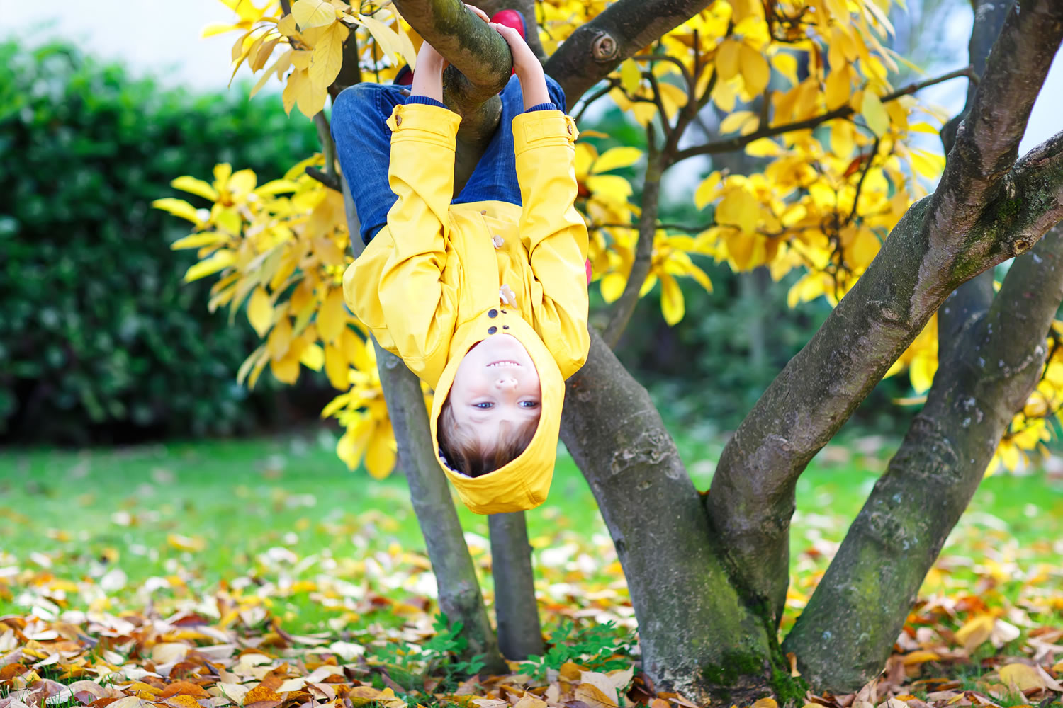 Rough-and-tumble, risky play: a complete guide for early childhood